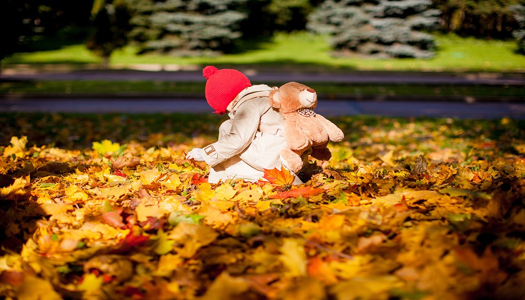 Little adorable girl with a backpack-bear walks in the autumn forest on beautiful sunny day
